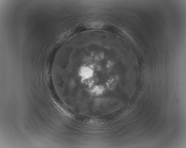 X0000081410641200701191531