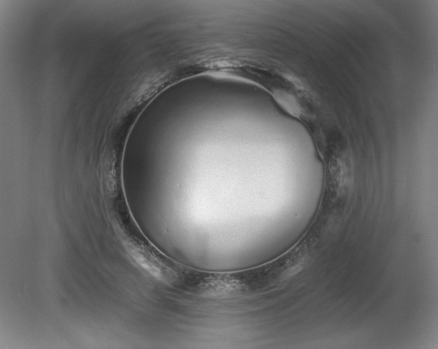 X0000081410642200701191531