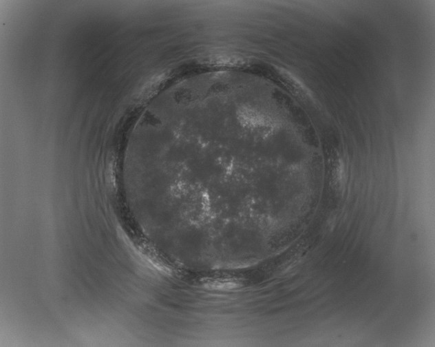 X0000081410643200701191531