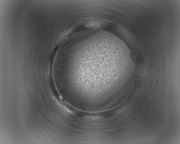X0000081410645200701191531