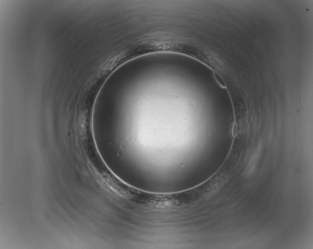 X0000081410646200701191531
