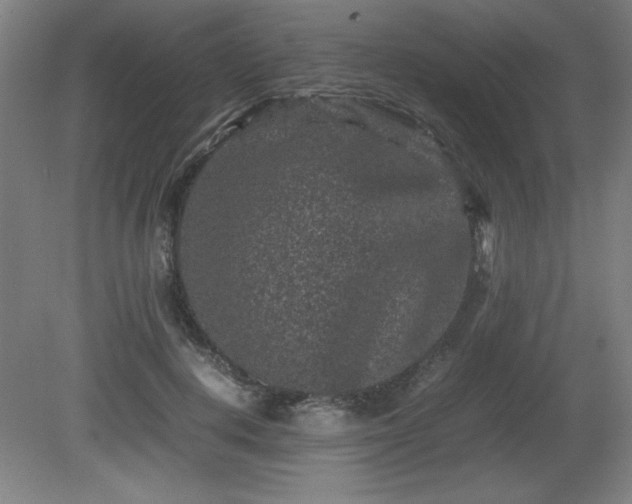 X0000081410648200701191531
