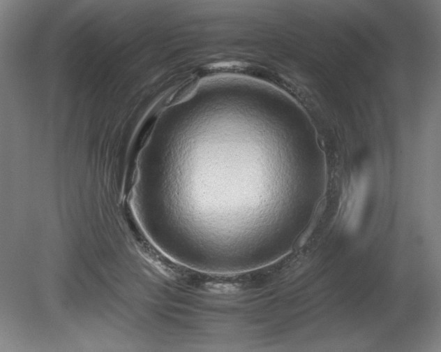 X0000081410649200701191531