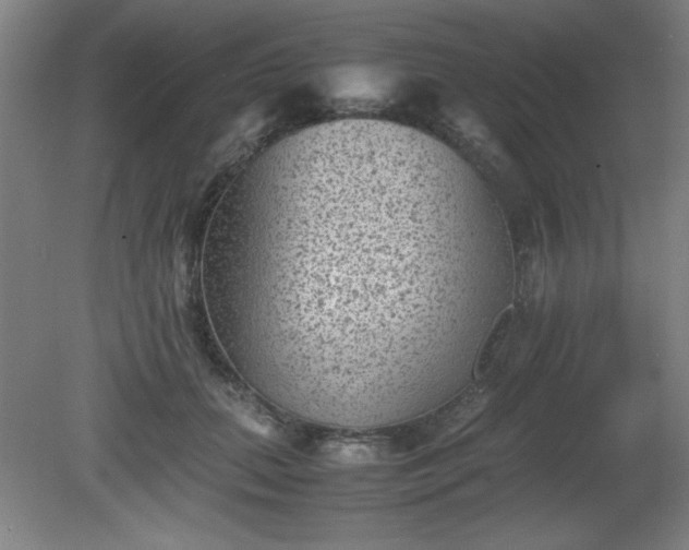X0000081410655200701191531