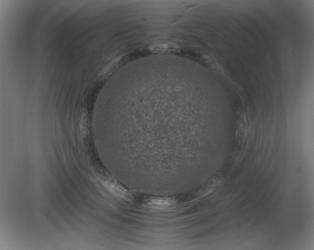 X0000081410659200701191531