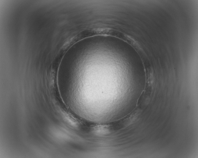 X0000081410664200701191531
