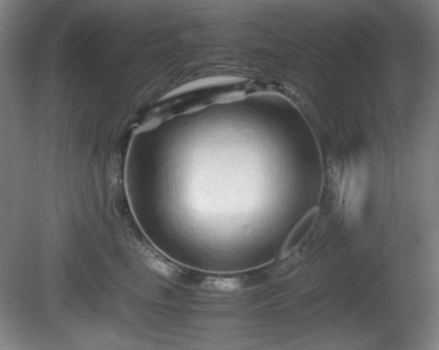 X0000081410665200701191531