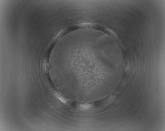 X0000081410669200701191531
