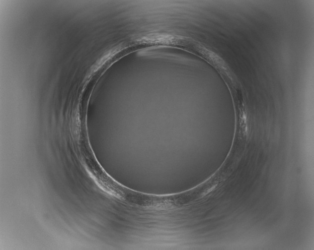X0000081410674200701191531