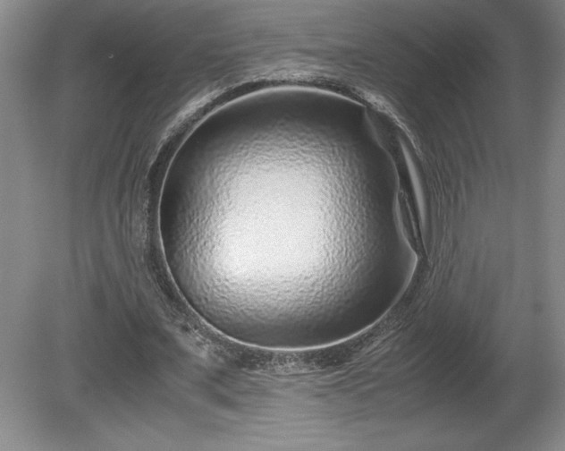 X0000081410675200701191530