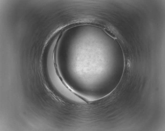 X0000081410676200701191530