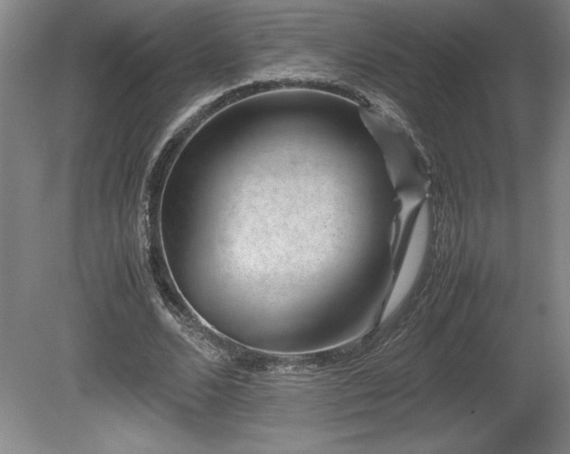X0000081410680200701191530