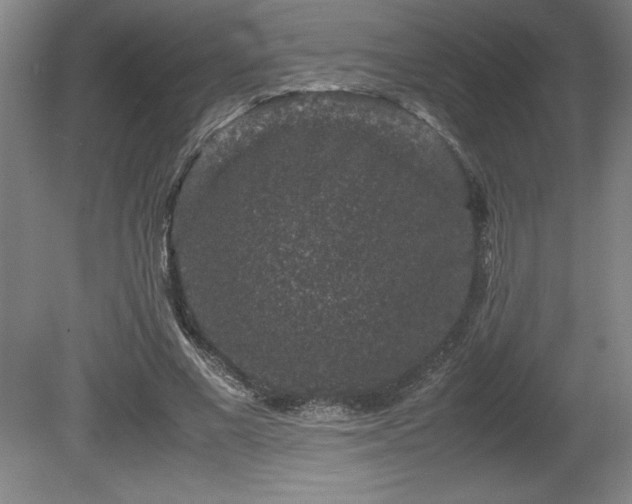 X0000081410685200701191530