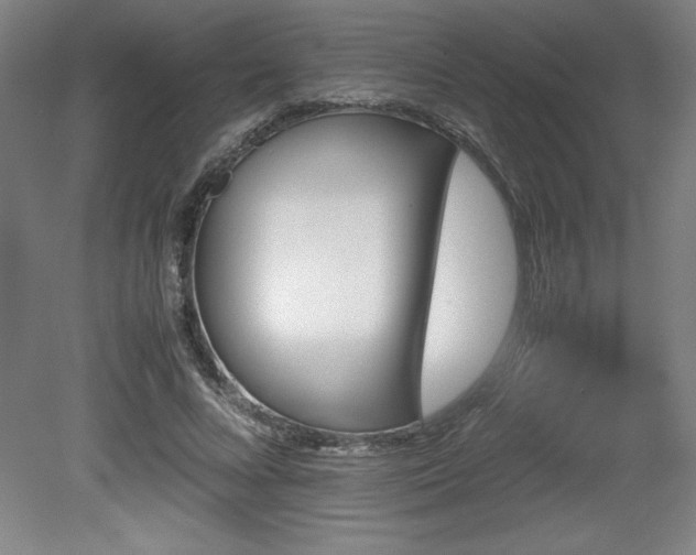 X0000081410688200701191530