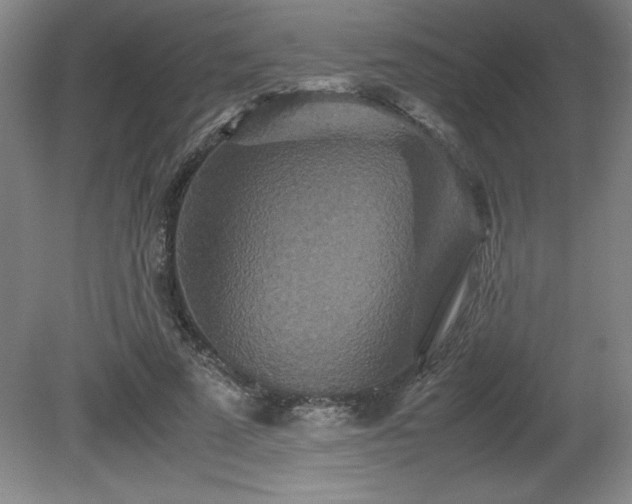 X0000081410689200701191530
