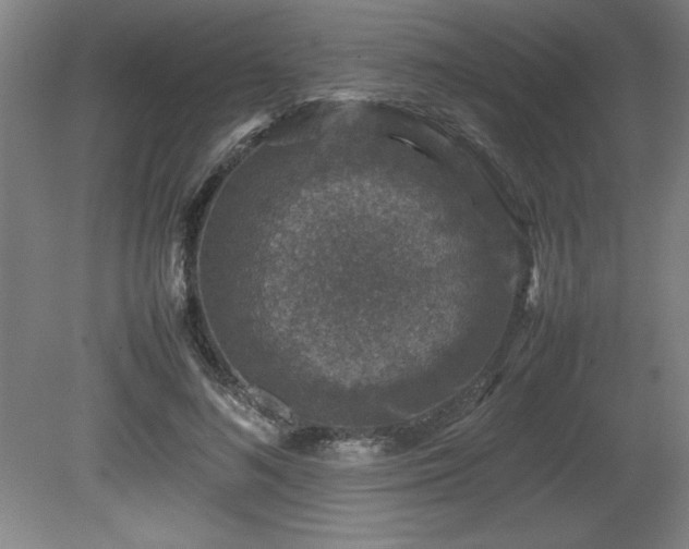 X0000081410692200701191530