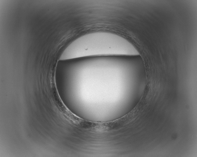 X0000081410696200701191530