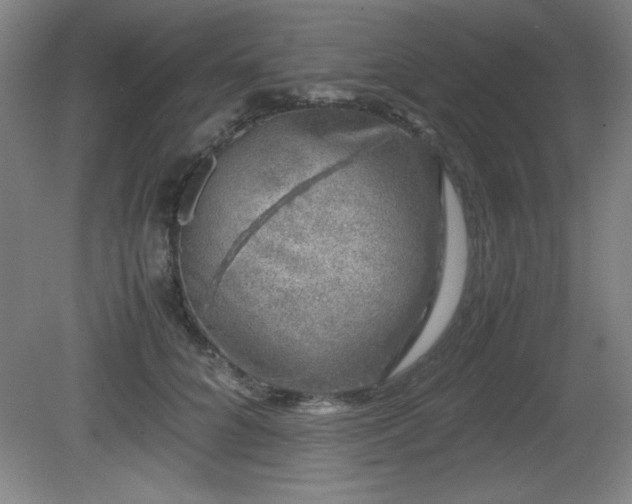 X0000081410704200701191530