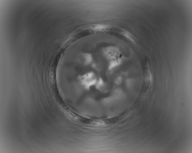X0000081410715200701191530