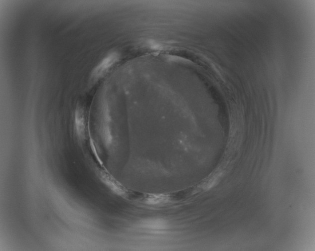 X0000081410720200701191530
