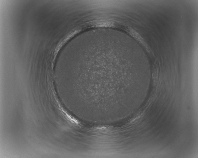 X0000081410721200701191529