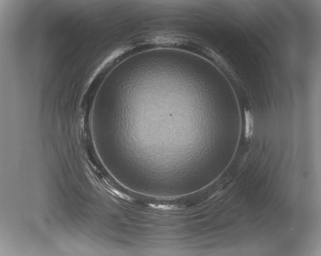 X0000081410723200701191529