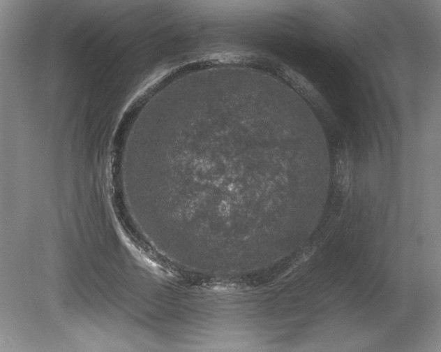 X0000081410730200701191529