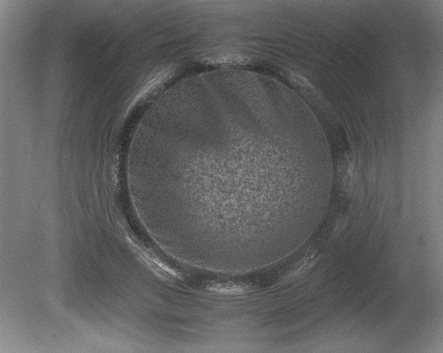 X0000081410735200701191529