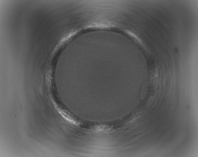 X0000081410736200701191529