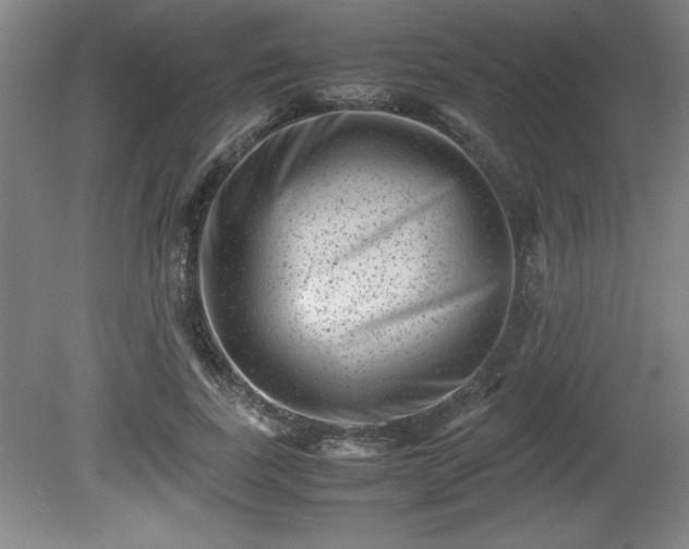 X0000081410739200701191529