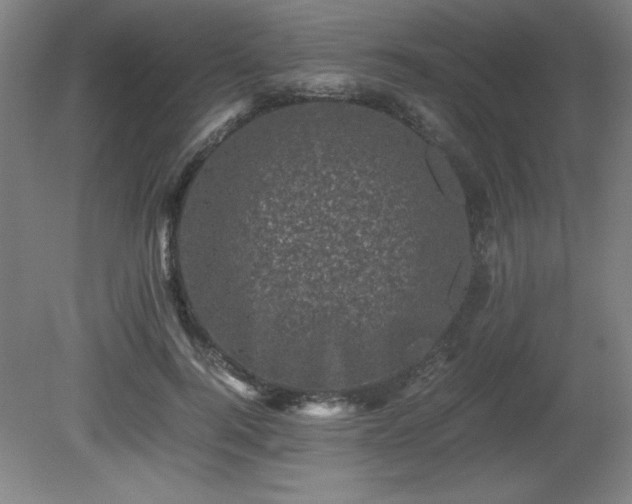 X0000081410744200701191529
