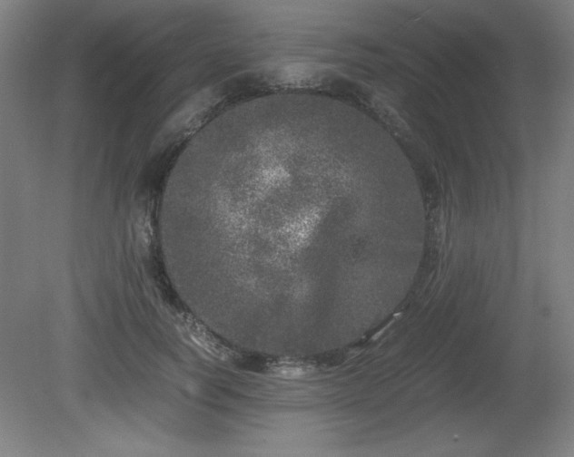 X0000081410746200701191529