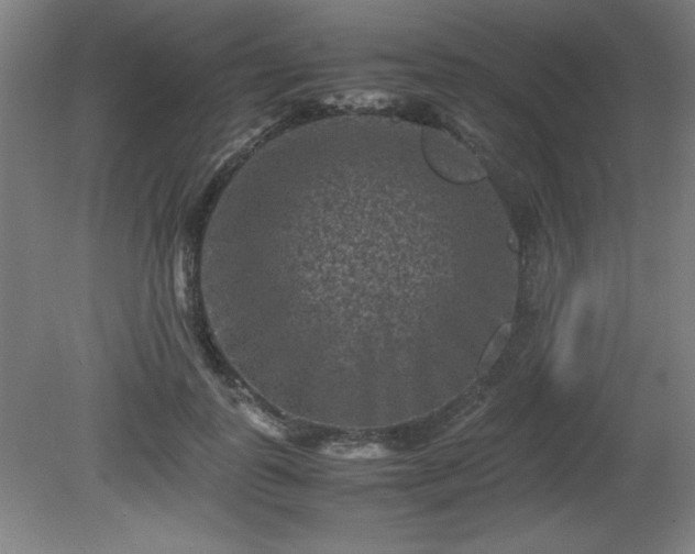X0000081410747200701191529