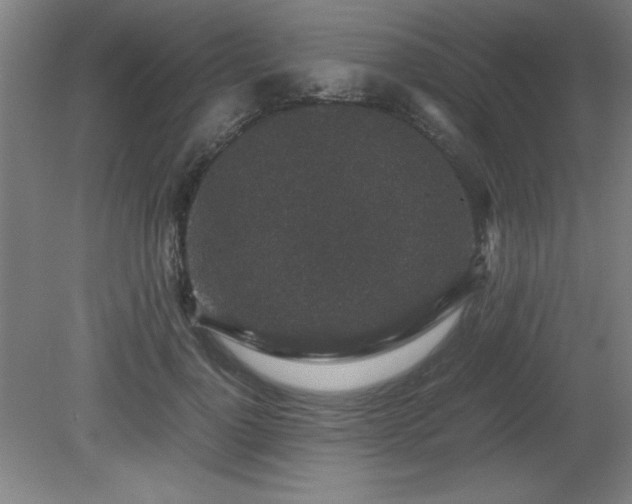X0000081410748200701191529