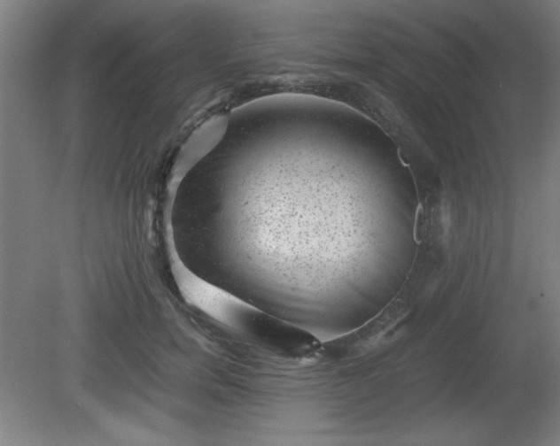 X0000081410750200701191529