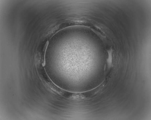 X0000081410752200701191529