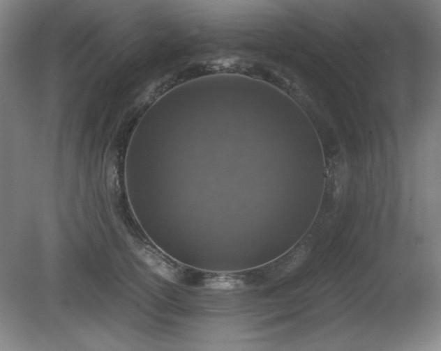 X0000081410754200701191529
