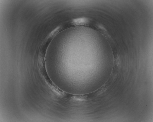X0000081410763200701191530