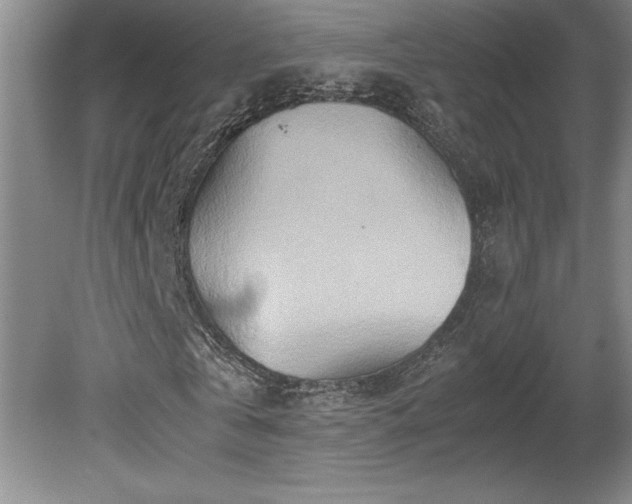 X0000081410769200701191529