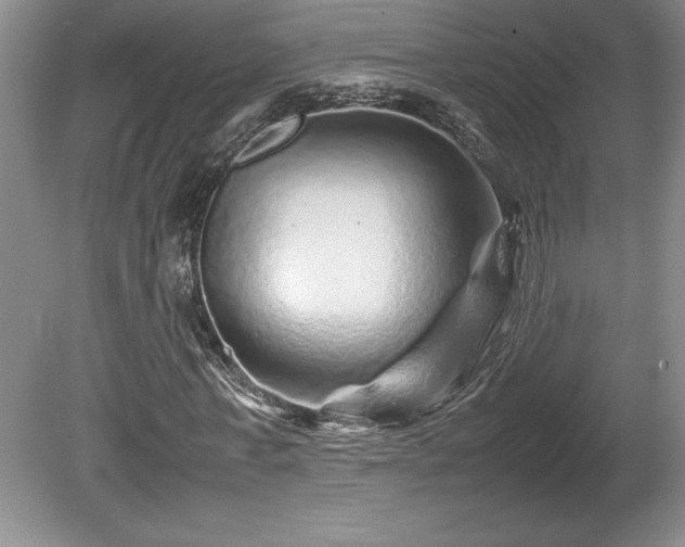 X0000081410771200701191529