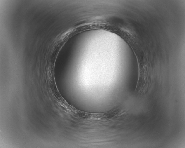 X0000081410773200701191529
