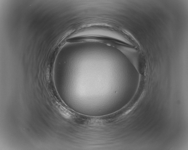 X0000081410777200701191529