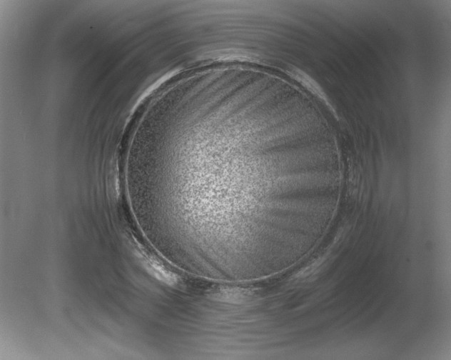 X0000081410782200701191529