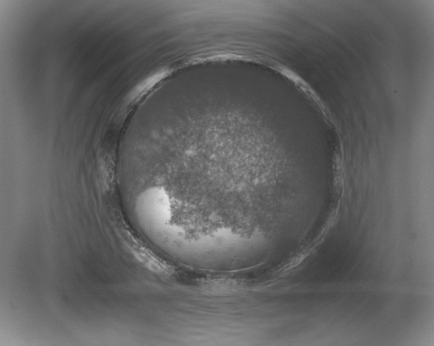 X0000081410785200701191529