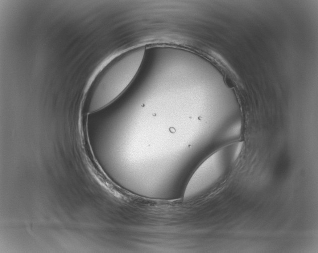 X0000081410788200701191529