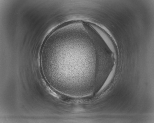 X0000081410791200701191529