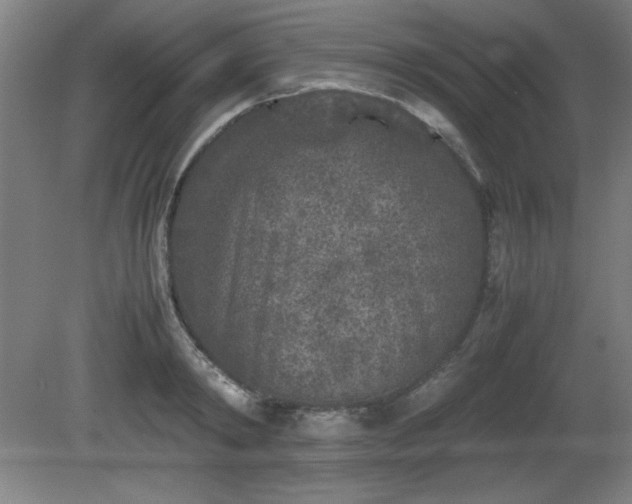 X0000081410798200701191528