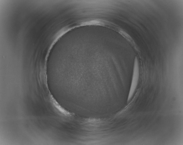 X0000081410800200701191528