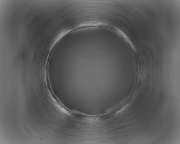 X0000081410802200701191528
