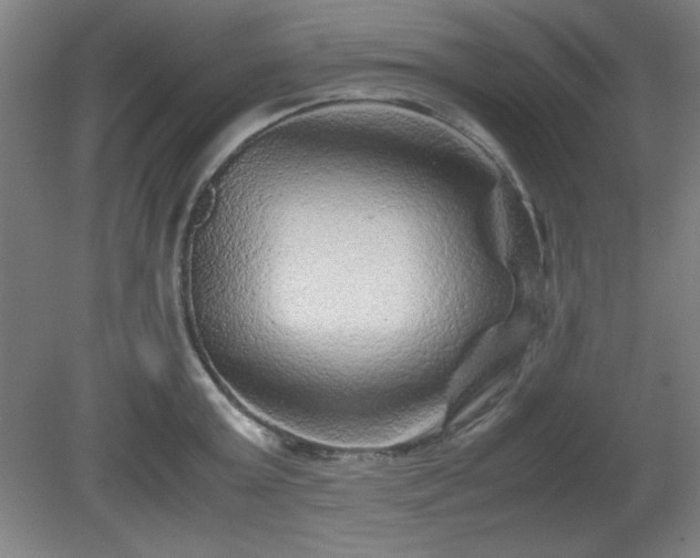 X0000081410803200701191528